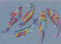 Rainbow Koi
